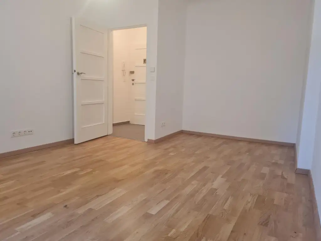 "Charmante 1-Zimmer Wohnung beim Matznerpark "