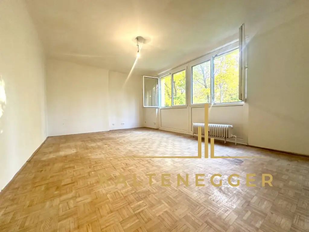 Helle 1-Zimmer Wohnung nahe Zentrum