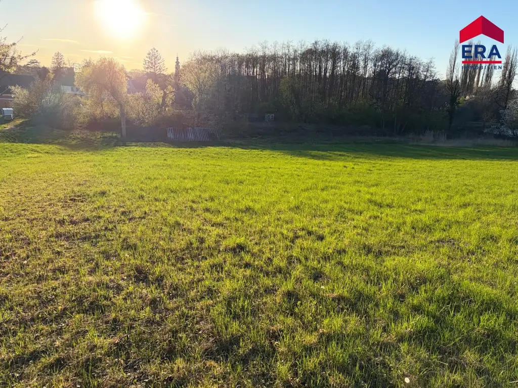 Exklusives Freizeitgrundstück in absoluter Grünruhelage – Natur, Weite & vielfältiges Potenzial in Gaweinstal