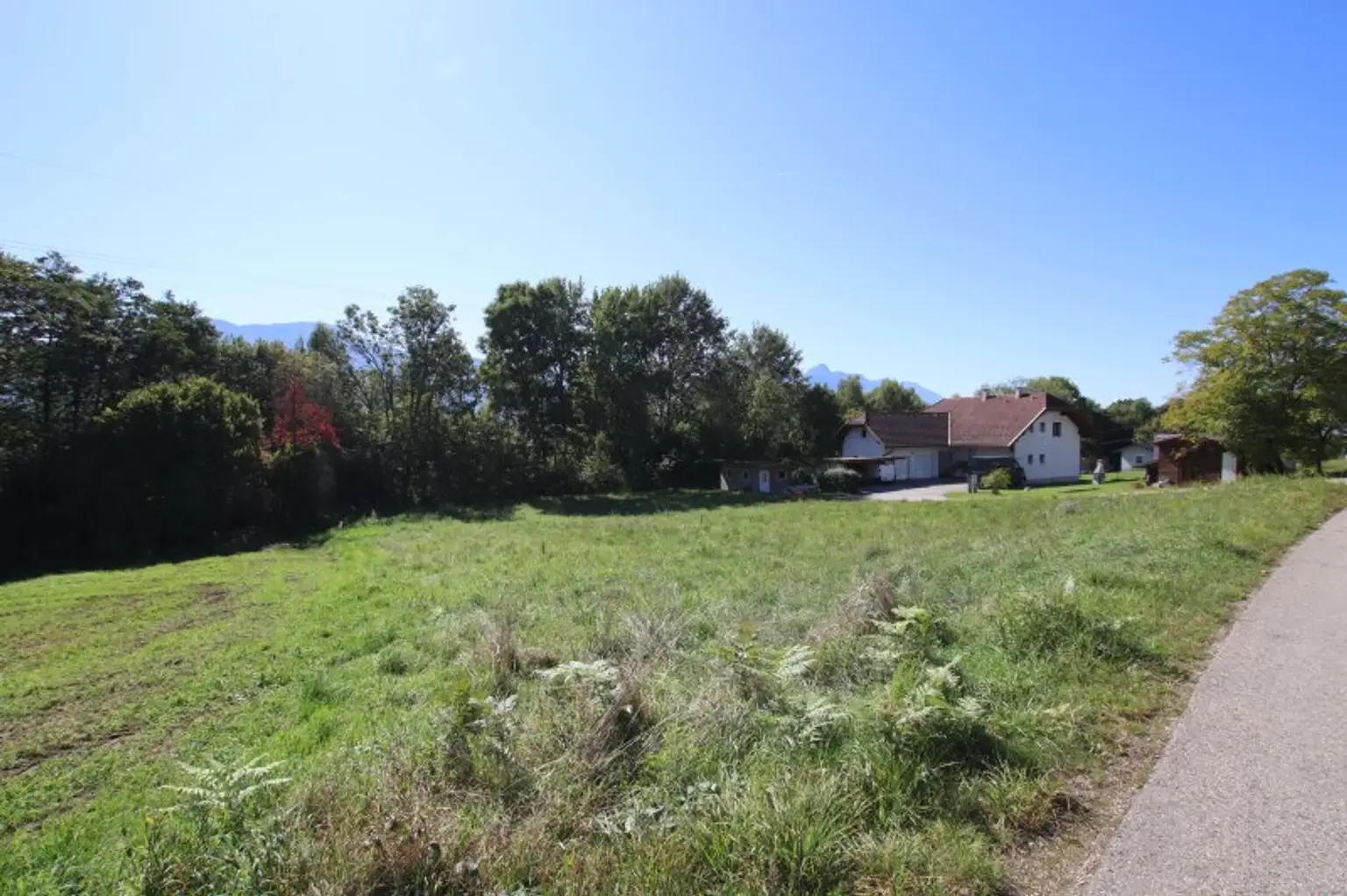 Schöner, großer und flacher 1.850m² Baugrund in Ludmannsdorf - Lukowitz