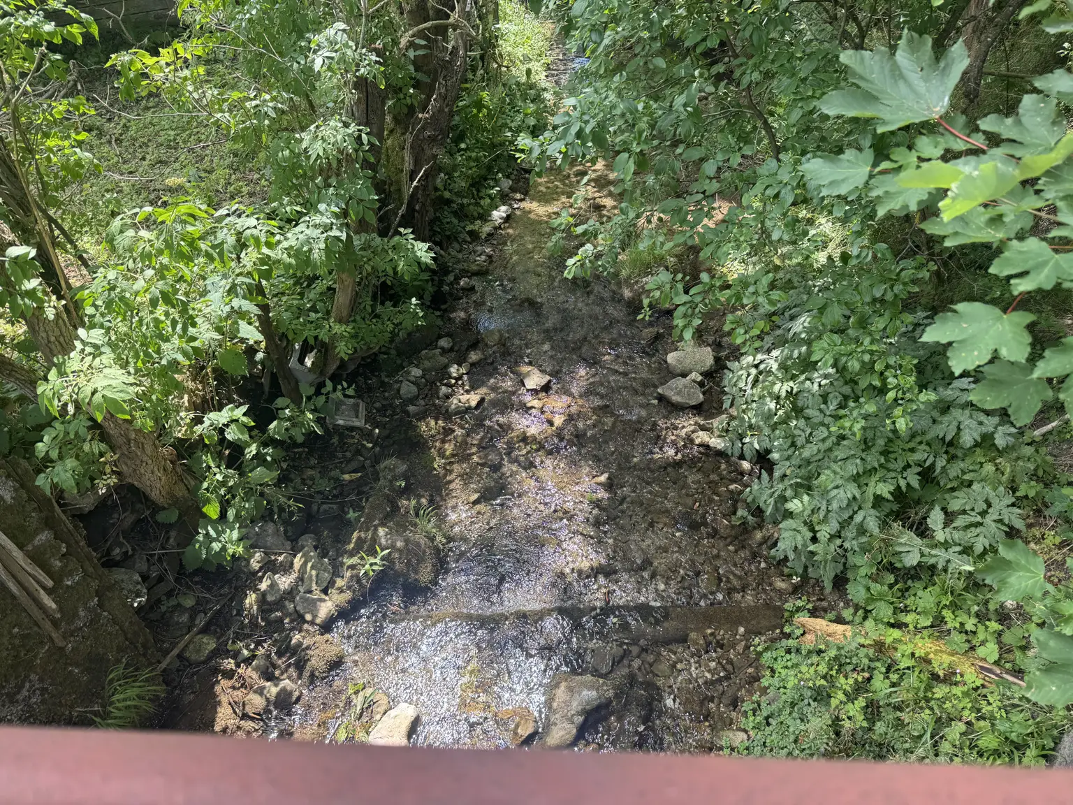Bächlein