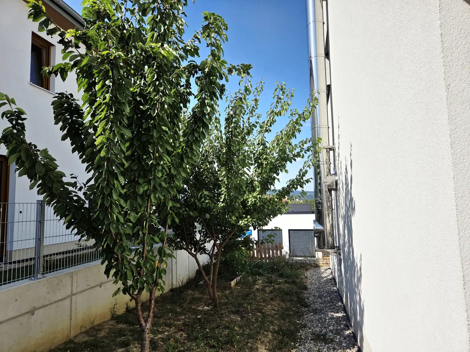 Seitenansicht