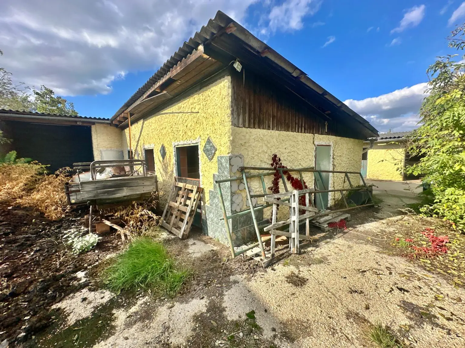 Reiterparadies im Weinviertel – Ihr Traum vom Landleben!