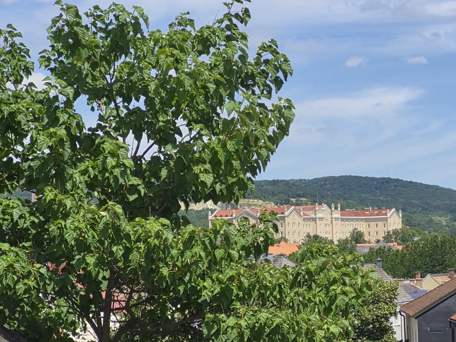 Ca. 68,40 m² Terrassenwohnung mit 24,70 m² südostseitiger Terrasse