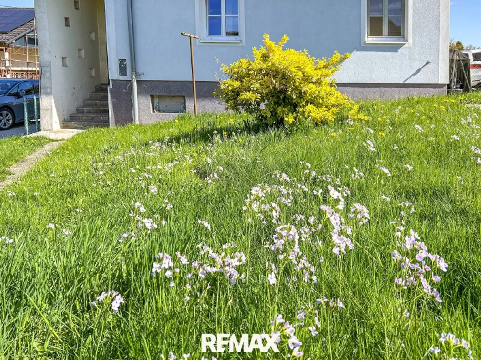 Blumenerwachen...