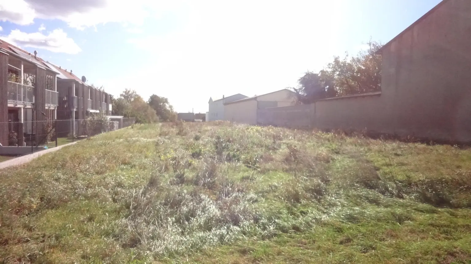 Aufgeschlossenes Grundstück in bester Lage am Ortsrand von Gols!