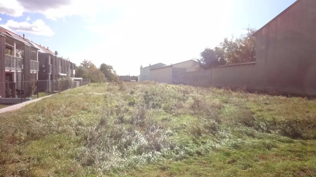 Aufgeschlossenes Grundstück in bester Lage am Ortsrand von Gols!