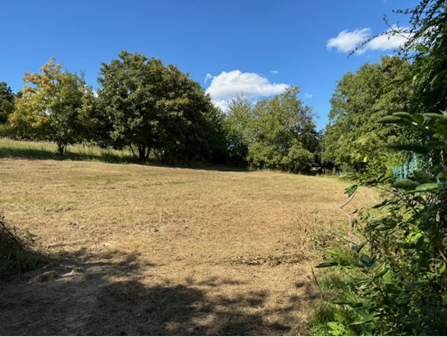 KAUFANBOT LIEGT VOR!      Wohnen im Grünen – Leben in Stadtnähe. Traumhaftes Grundstück im Wischathal!