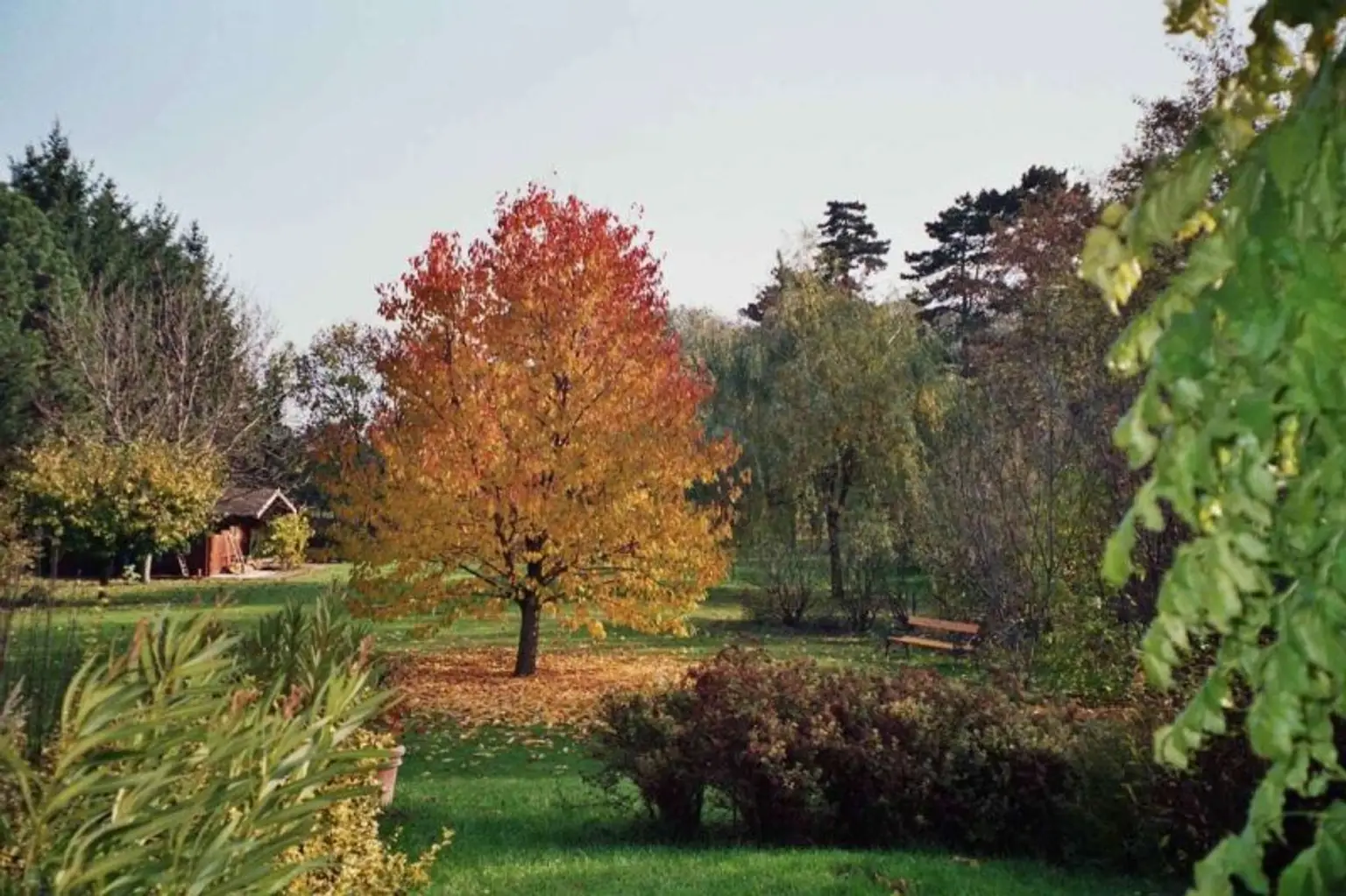 HARMONISCHE PRACHTLIEGENSCHAFT MIT SCHWIMMTEICH