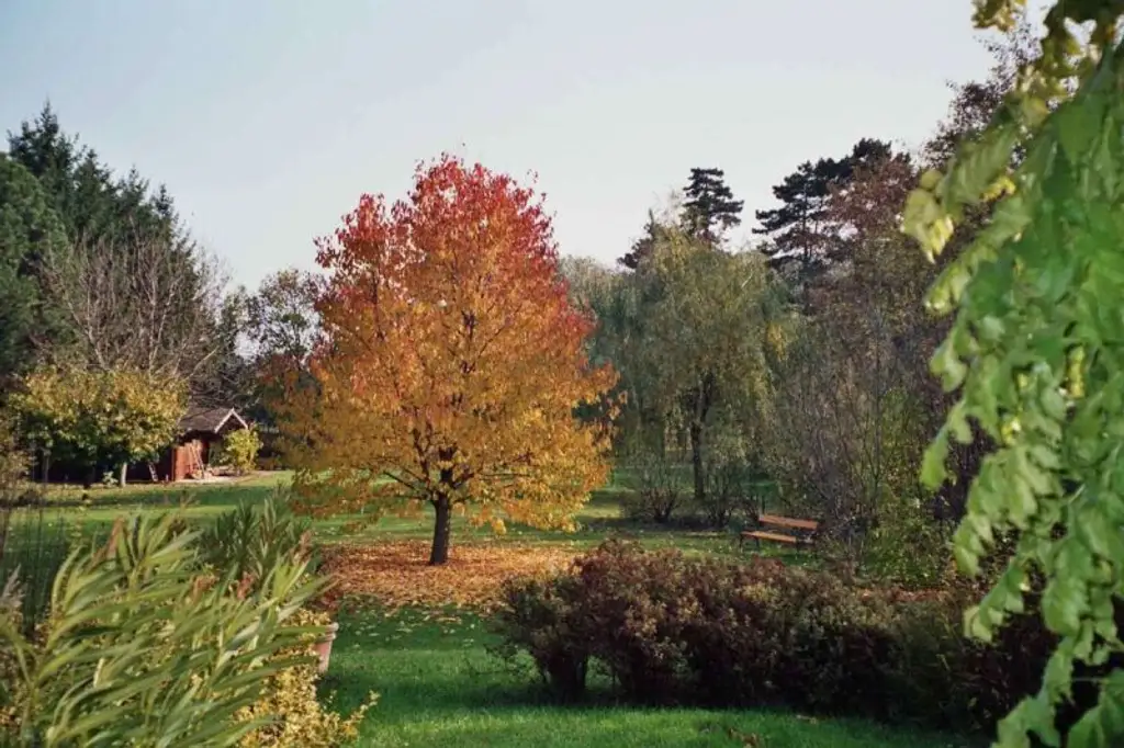 HARMONISCHE PRACHTLIEGENSCHAFT MIT SCHWIMMTEICH