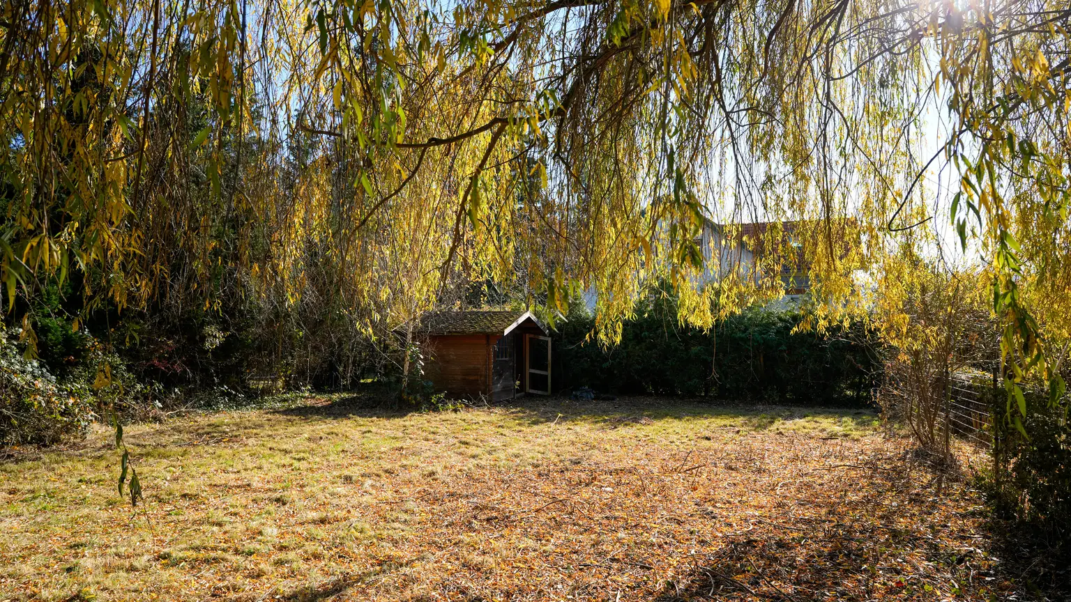 Moderner Bungalow in absoluter Ruhelage – Neulengbach