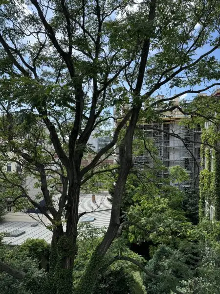 Moderne 3-Zimmer-Wohnung mit bewilligtem Balkon im Herzen des 9. Bezirks