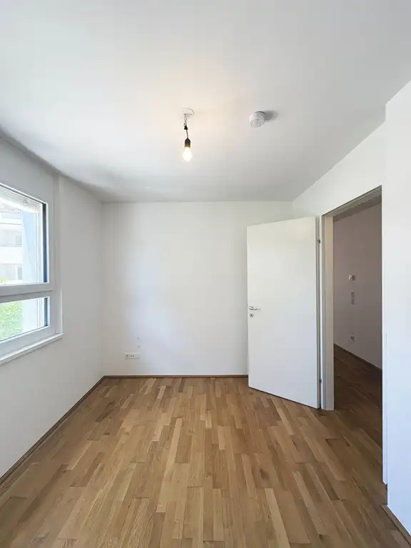 Zimmer I