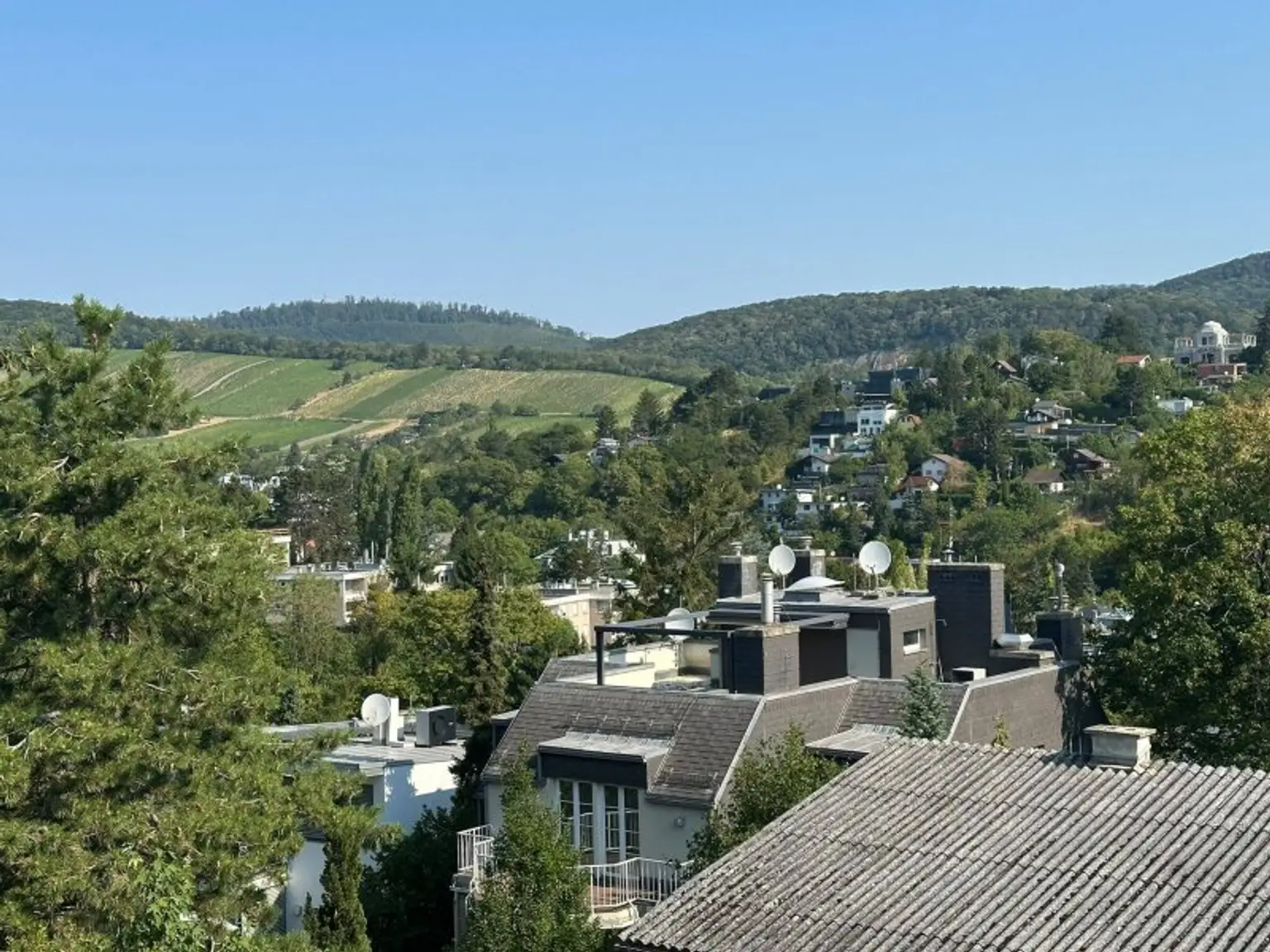 Ausblick