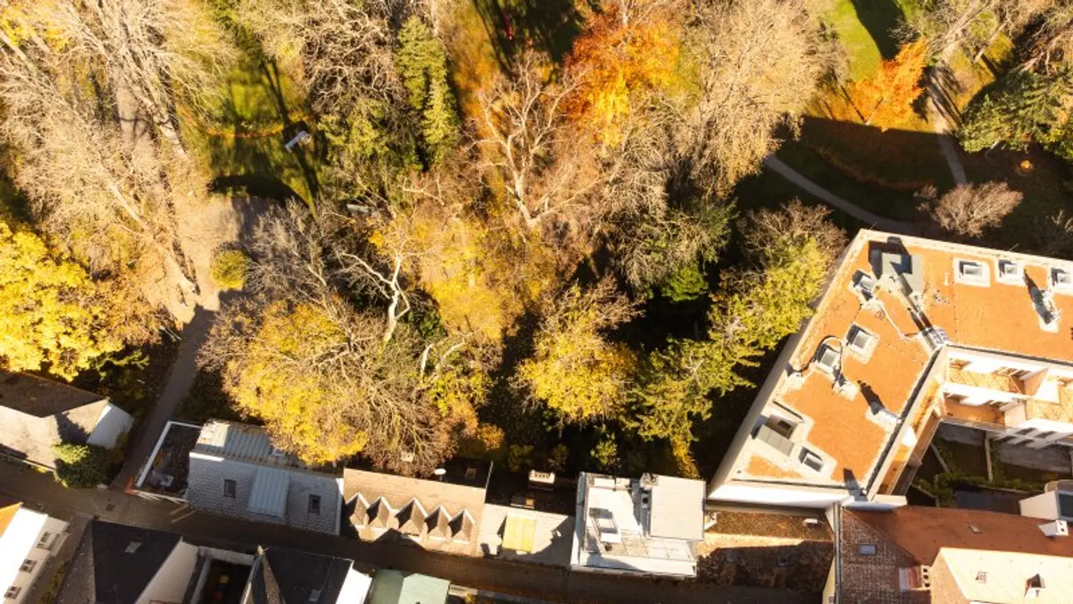 Haus im Landhausstil – teilweise sanierungsbedürftige Rarität im Schlosser Gässchen, direkt in der Fußgängerzone