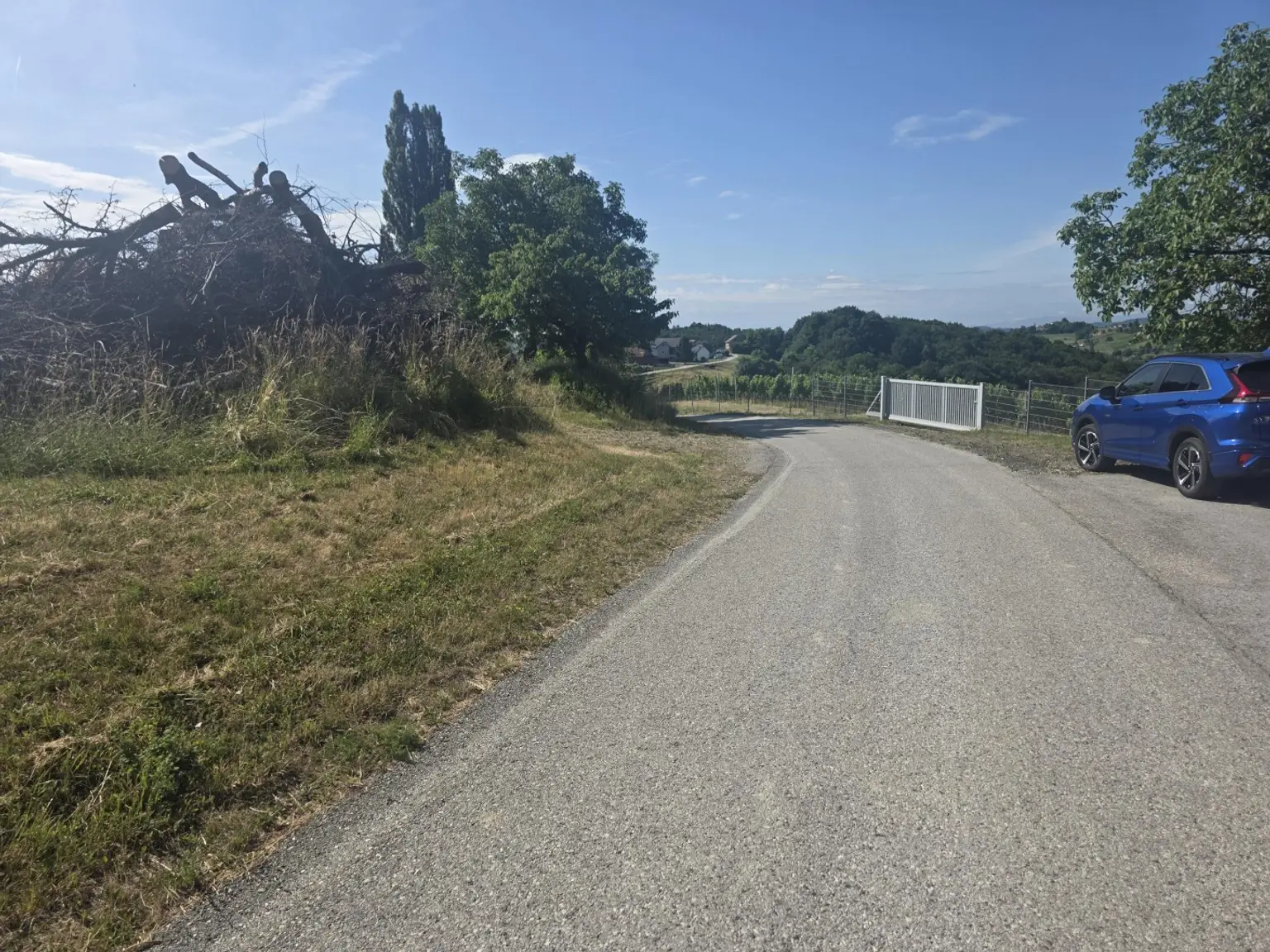 Baugrund + Freiland (Weingarten) in Aussichtslage!