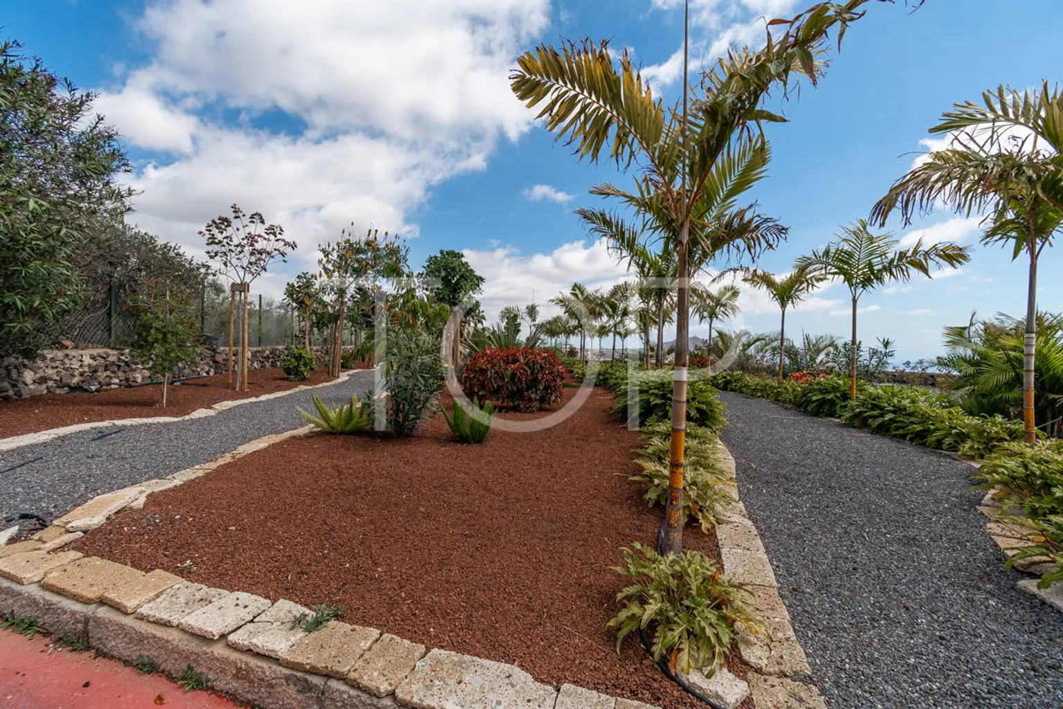 Villa-San-Miguel-jardin-Teneriffa-2