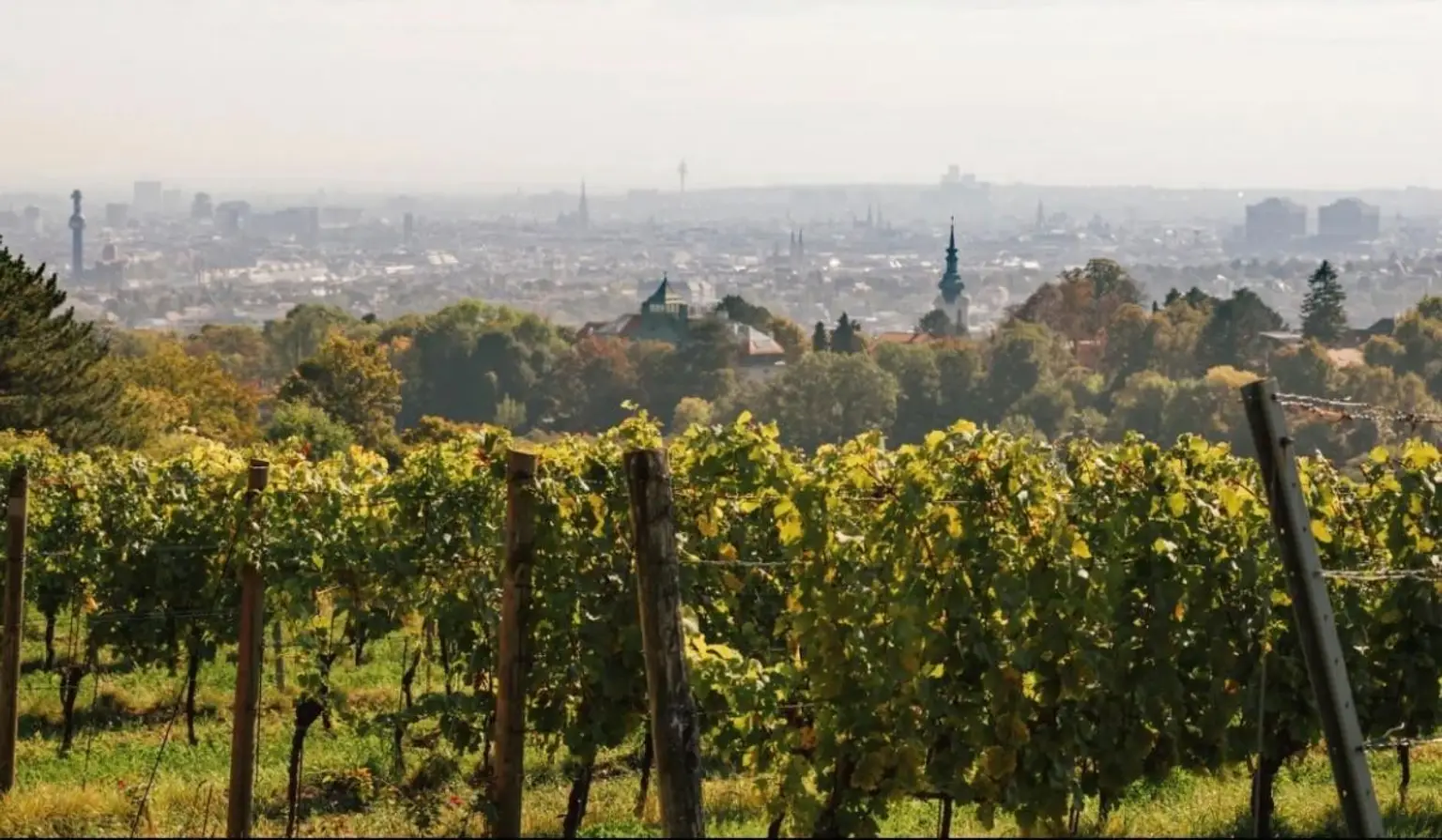 ETW 1190 Döbling - Aussicht