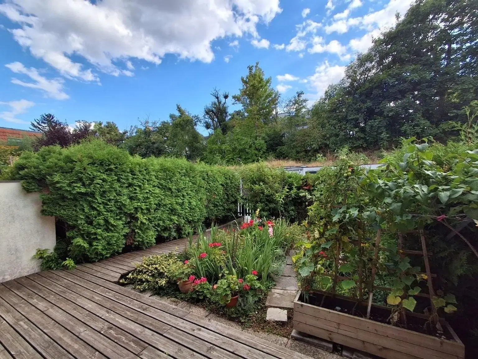 28 Gartenblick ins Grüne RH 1230