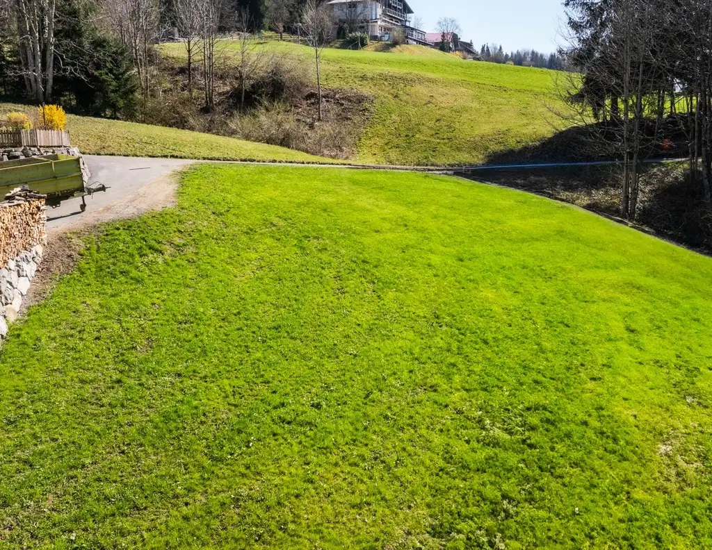 Möggers | Großzügiges Grundstück (1.577 m²) mit Option auf Erweiterung
