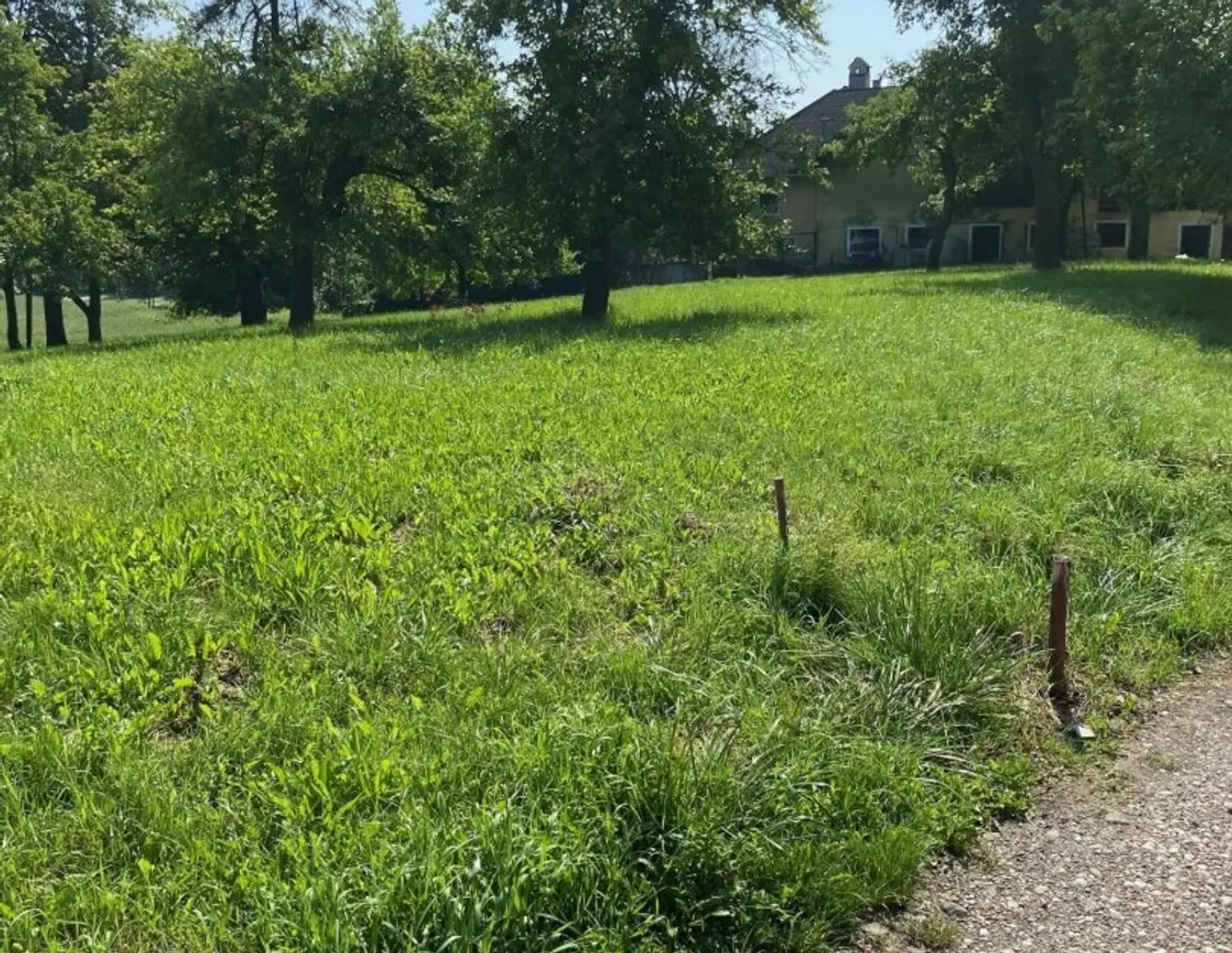 987 m² Bauland mit Widmung Dorfgebiet in Engerwitzdorf/Edtsdorf ohne Bauzwang
