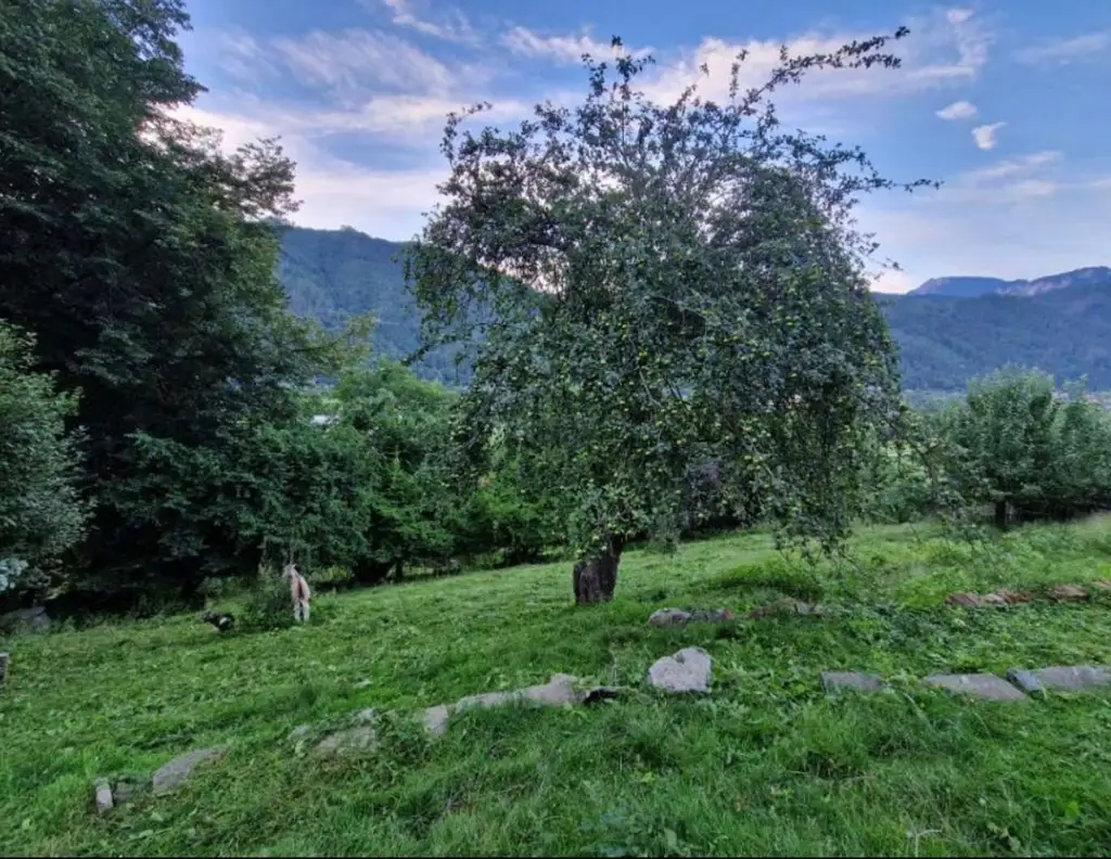 Grundstück mit Traumaussicht in Hanglage