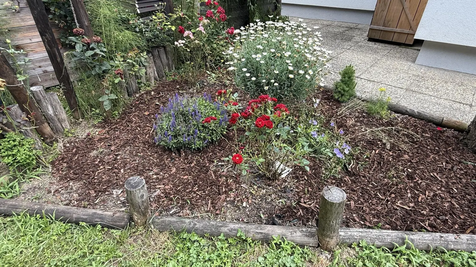 Blumenbeet