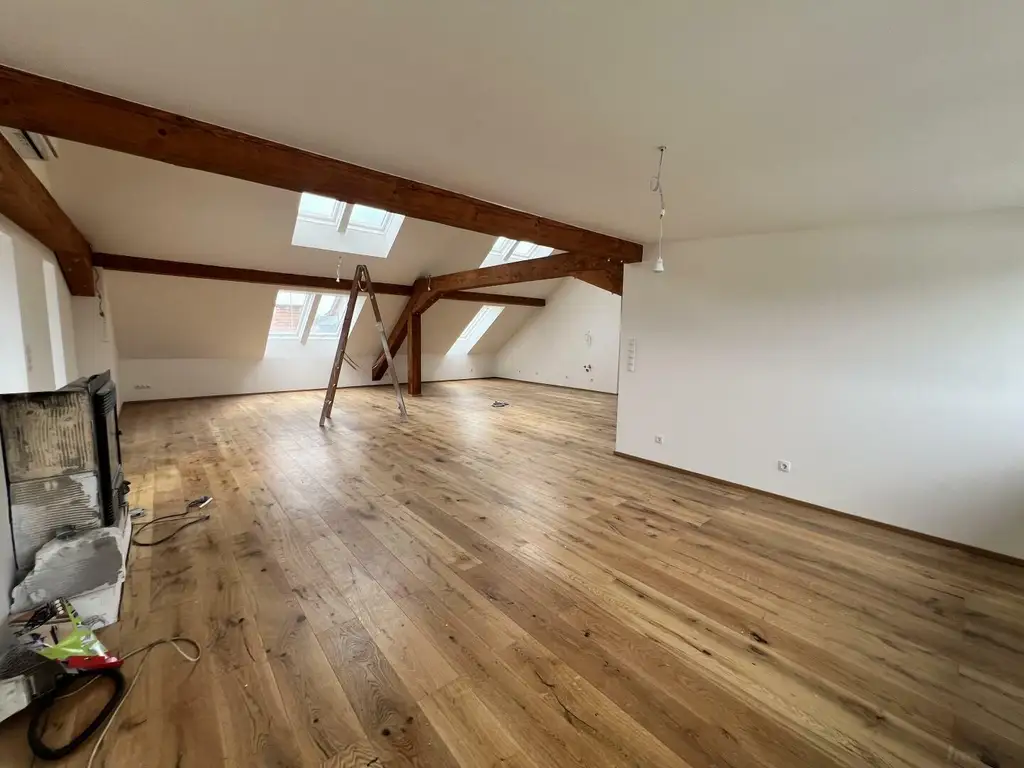 Penthouse-Wohnung + 270m2 Dachterrasse zur Miete als Wohnung oder Büro