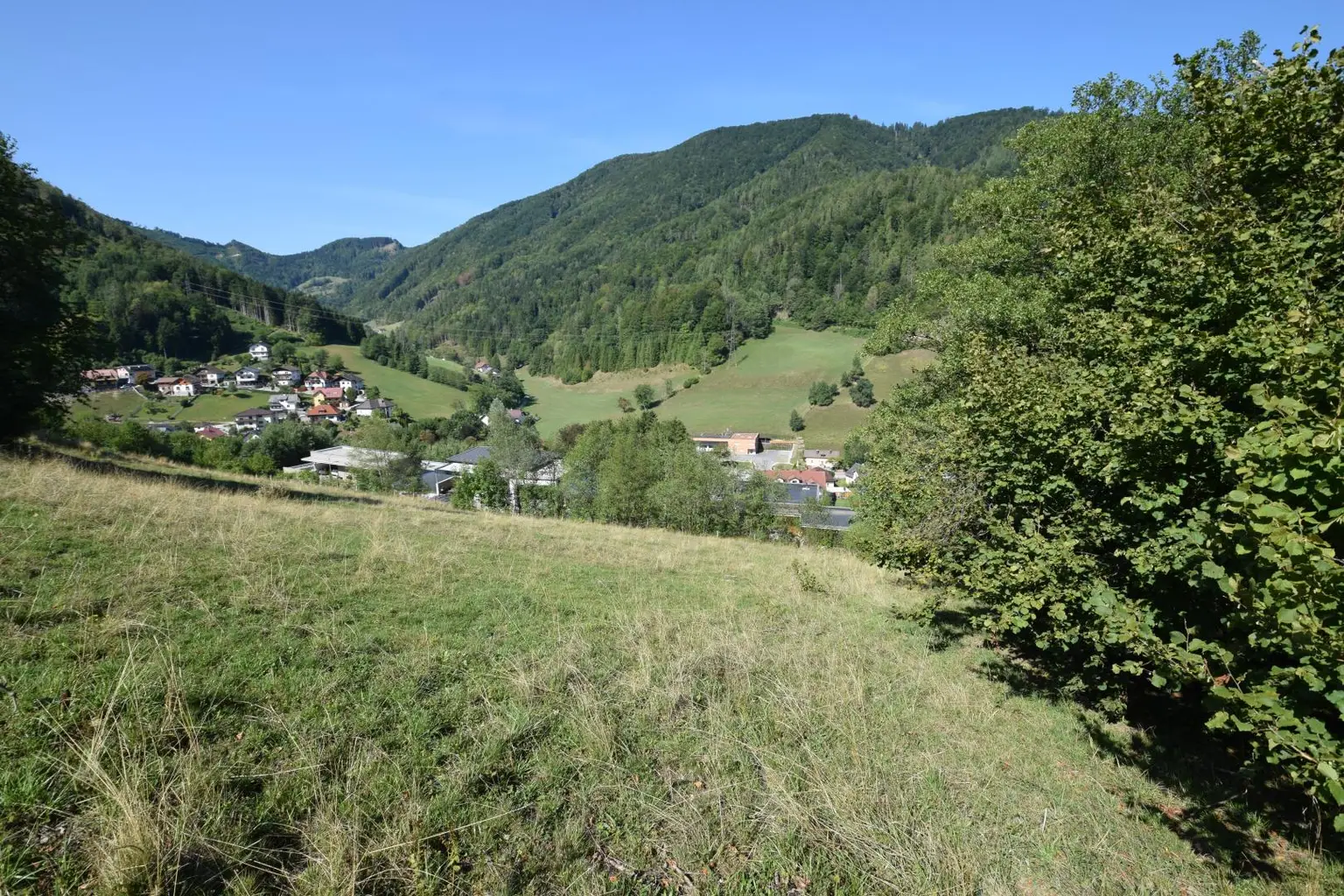 Panoramablick