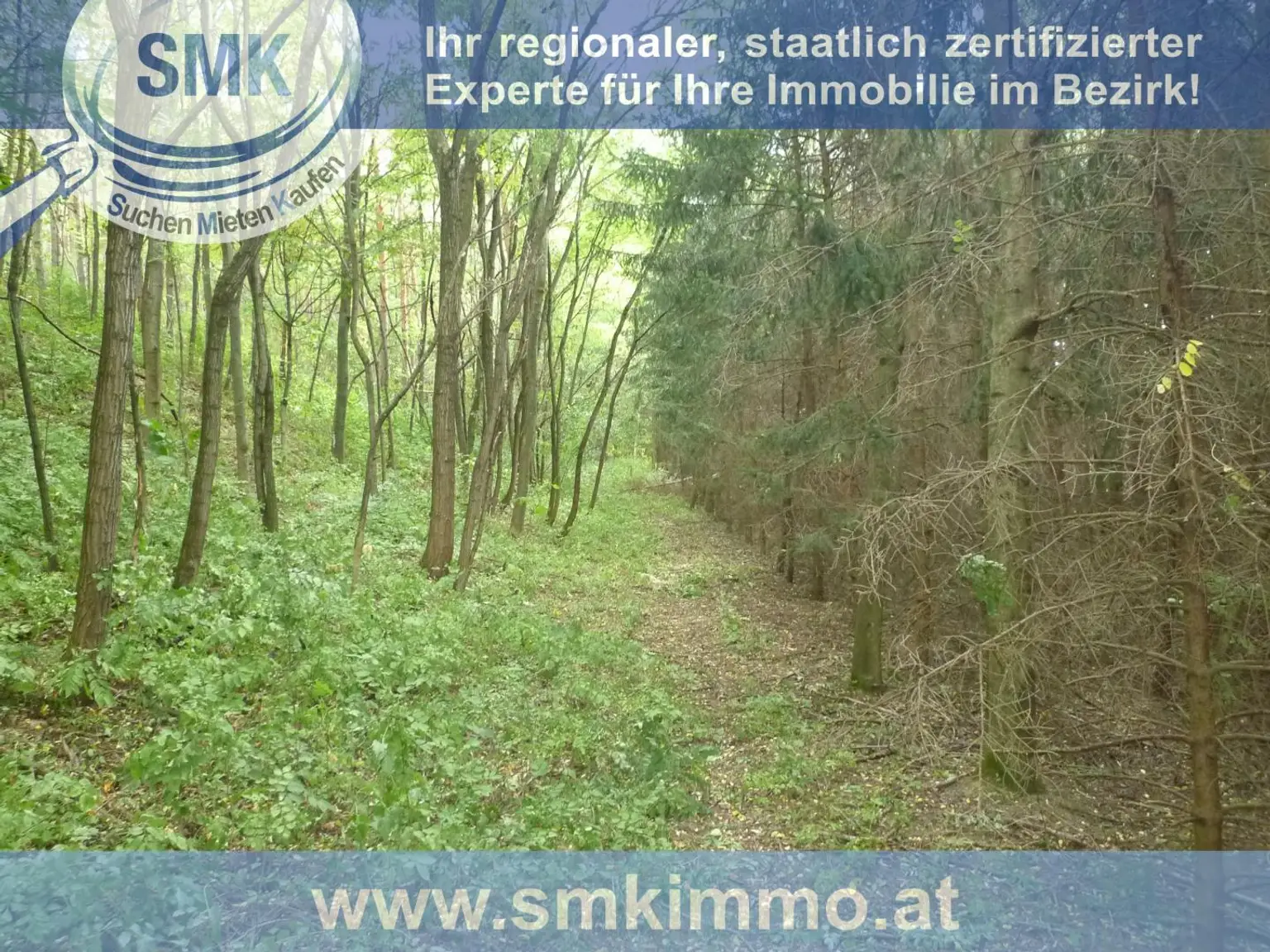 Waldgrundstück Nähe A5!