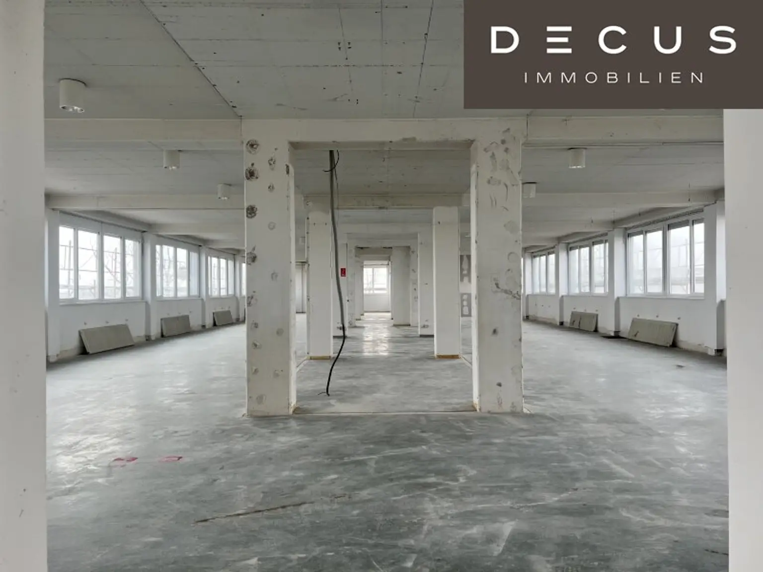 2. OG - lichtdurchflutet