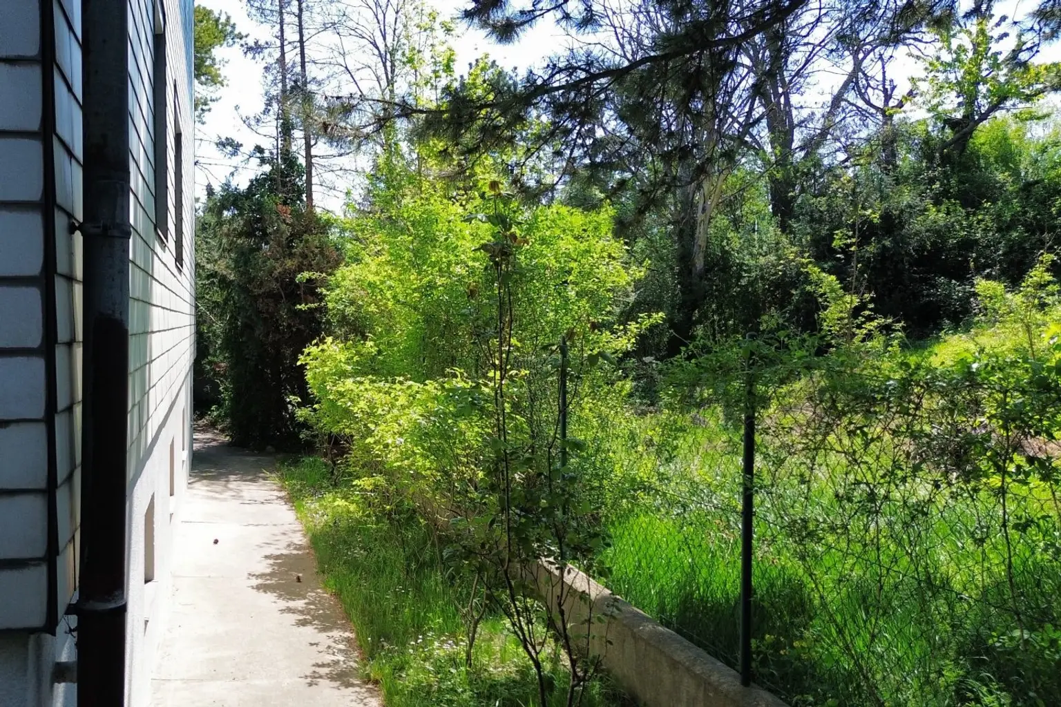 Bild-20260418-101045