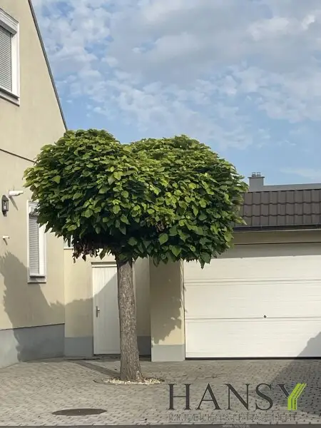 Modernisierte Stilvilla in in Tribuswinkel mit hervorragender Infrastruktur