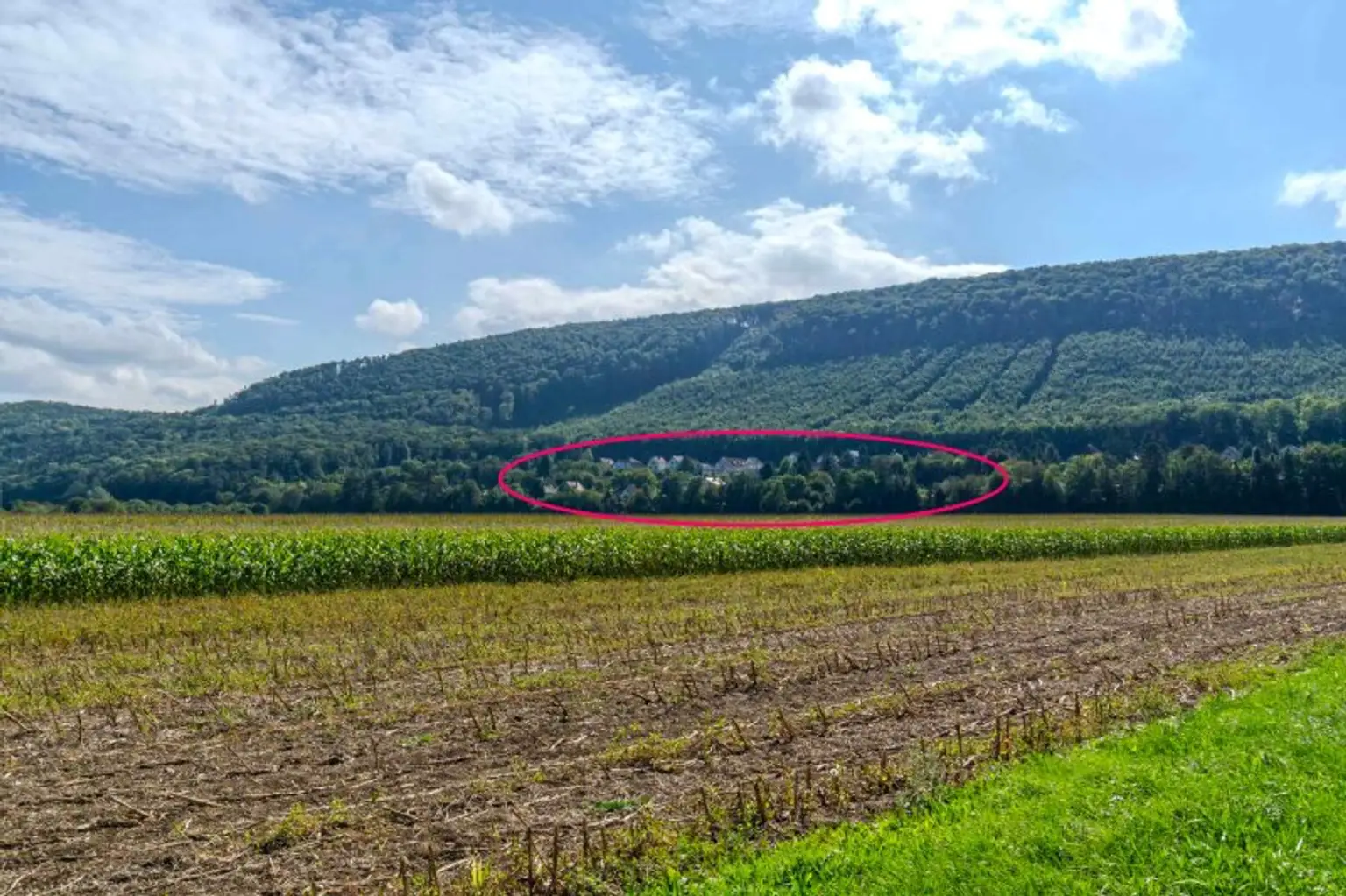 Idyllisches Landhaus in Wohnsiedlung am Waldesrand mitten im Triestingtal, südliches Bergland vor Wien