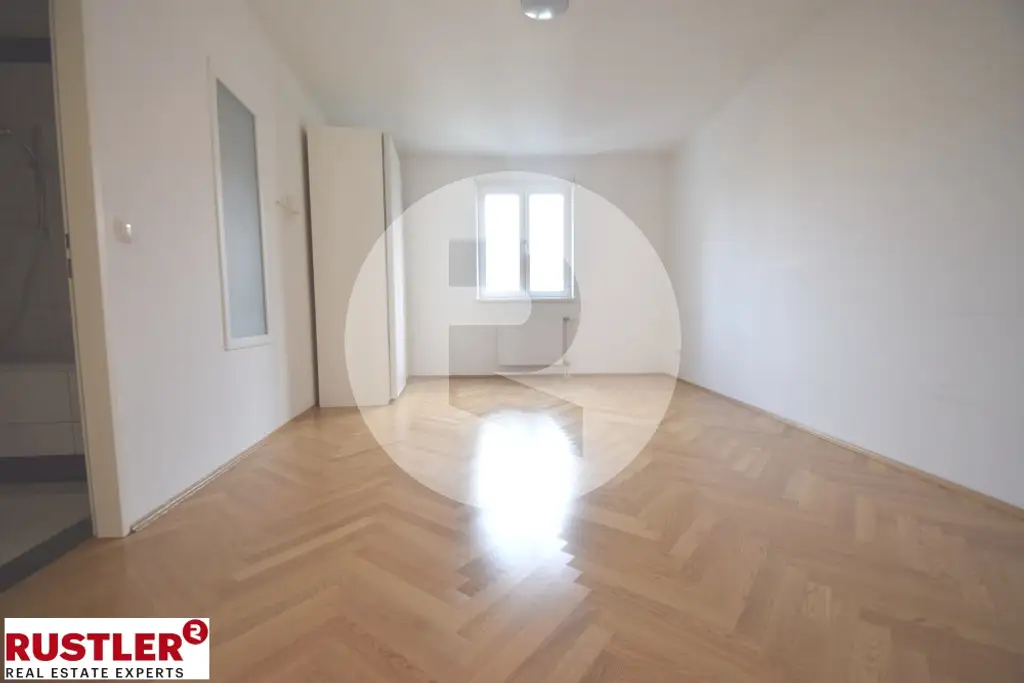 Traumwohnung nähe Naschmarkt / Ruhelage / Saniert