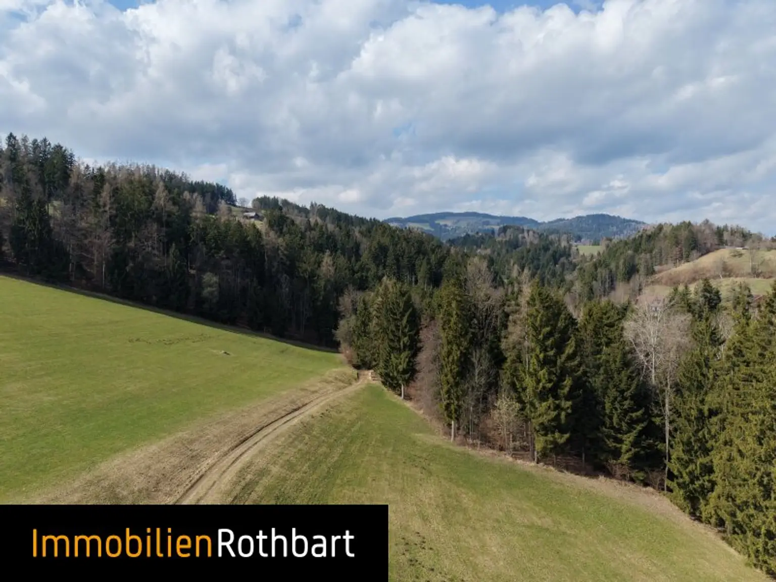 Wald mit Wiese und Zinshaus!