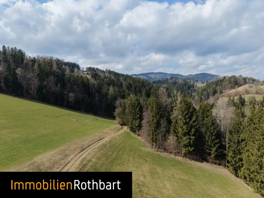 Wald mit Wiese und Zinshaus!