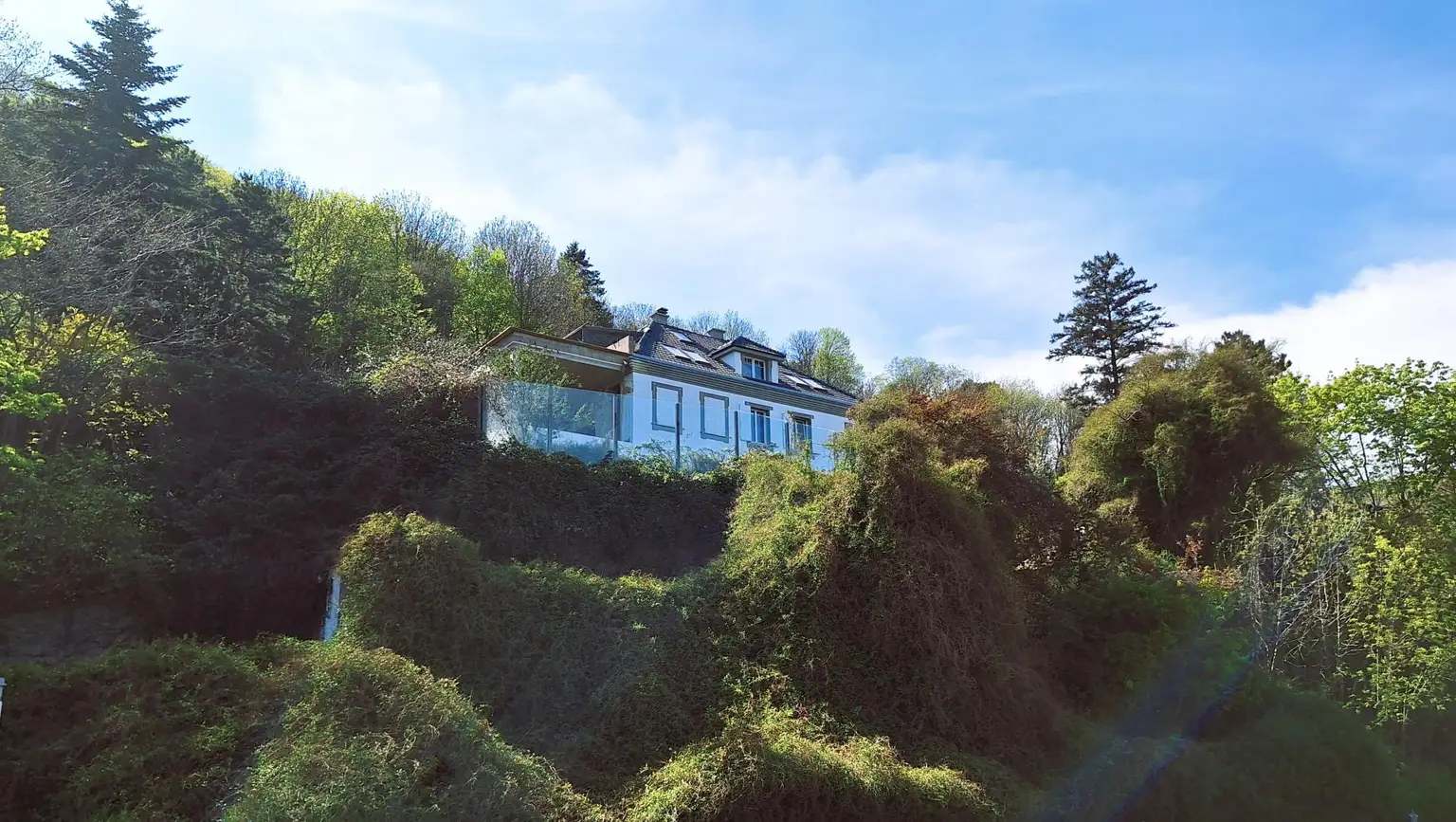 Edelrohbau-Villa, Herrschaftlicher Wohnsitz am Fuße des Kahlenberges an der Donau. Teilrestauriert entkernt und komplette Ausbauplanung.