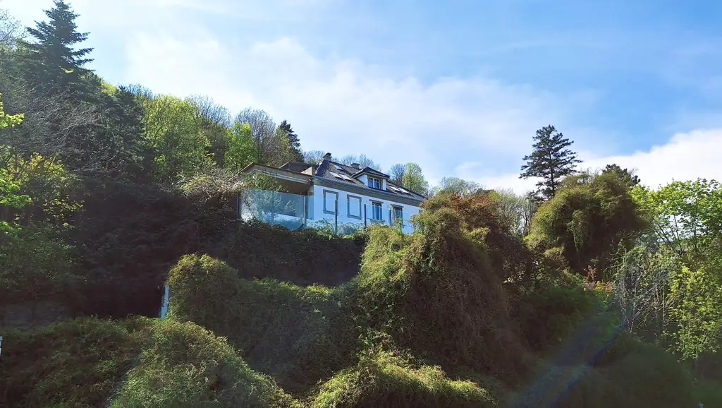 Edelrohbau-Villa, Herrschaftlicher Wohnsitz am Fuße des Kahlenberges an der Donau. Teilrestauriert entkernt und komplette Ausbauplanung.