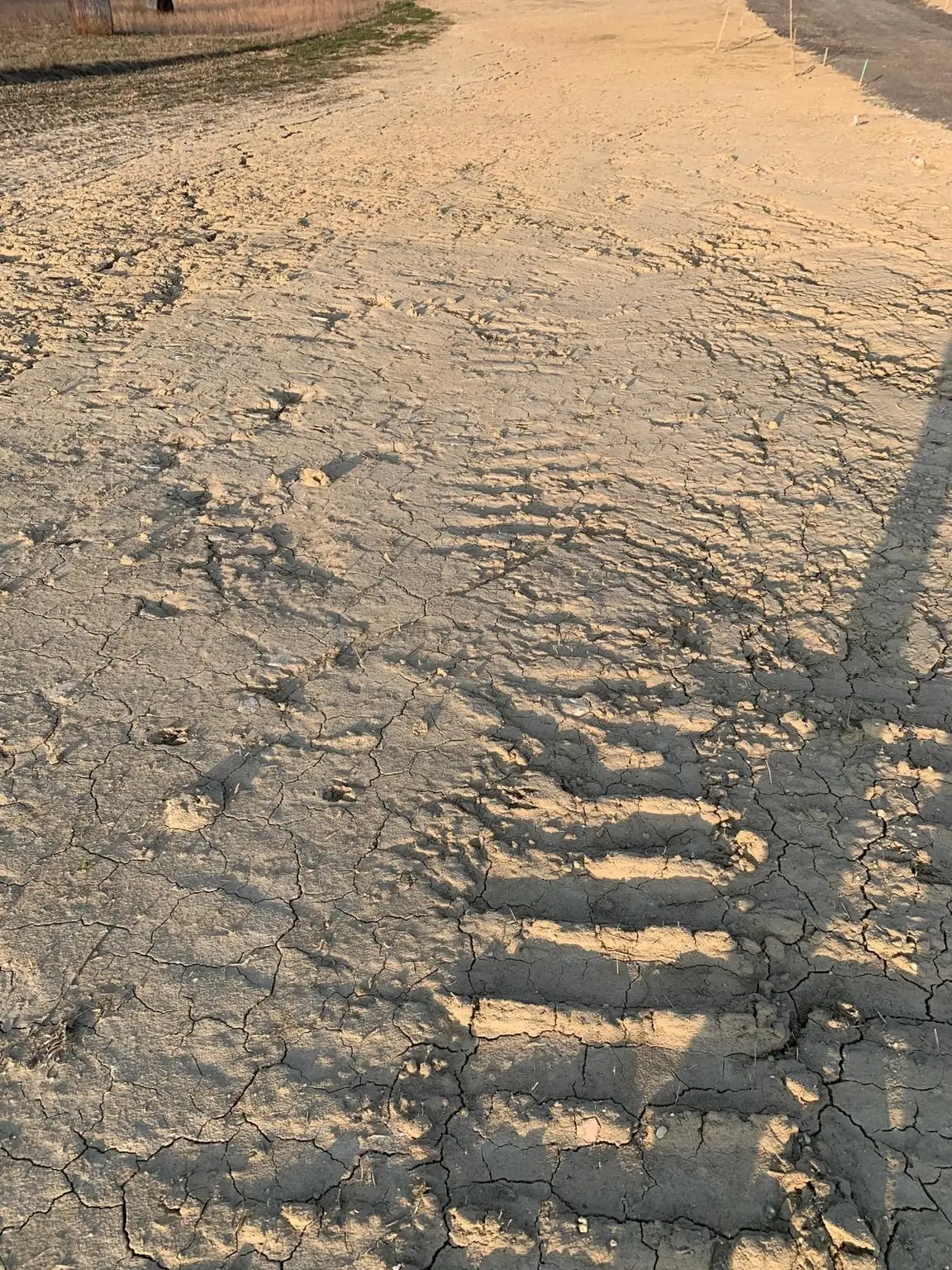 Sonniges Baugrundstück – 45 Minuten vor Wien