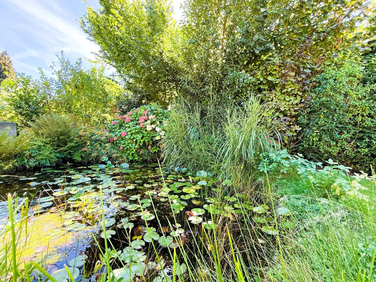 Charmantes EFH in Bestlage von Aigen