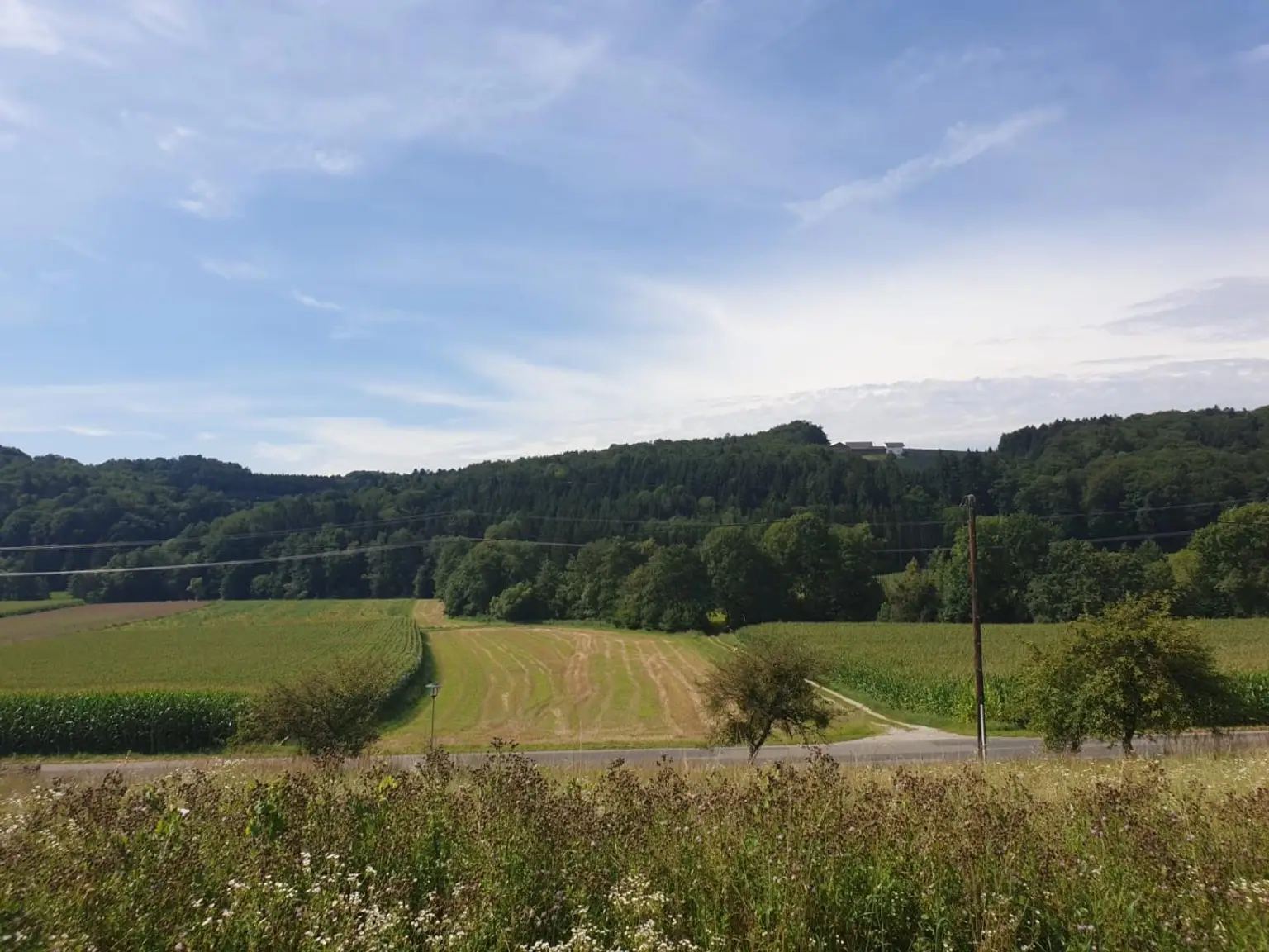 Grundstück