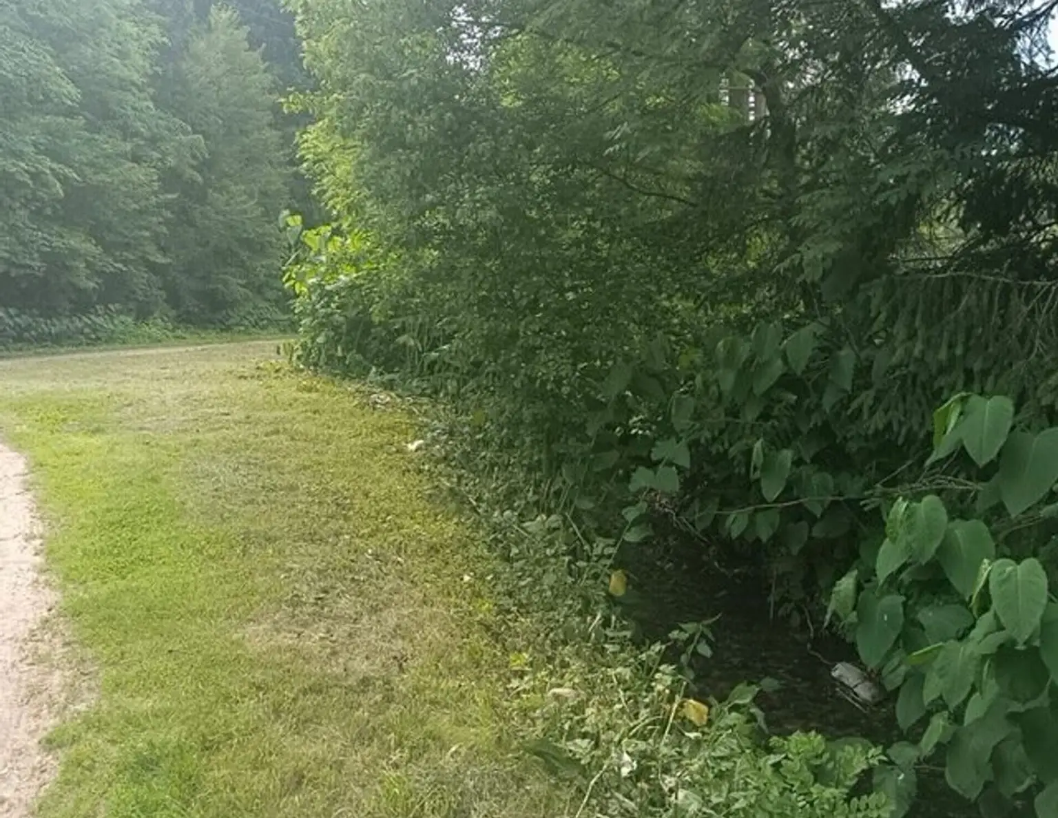 Grundstück am Bach!