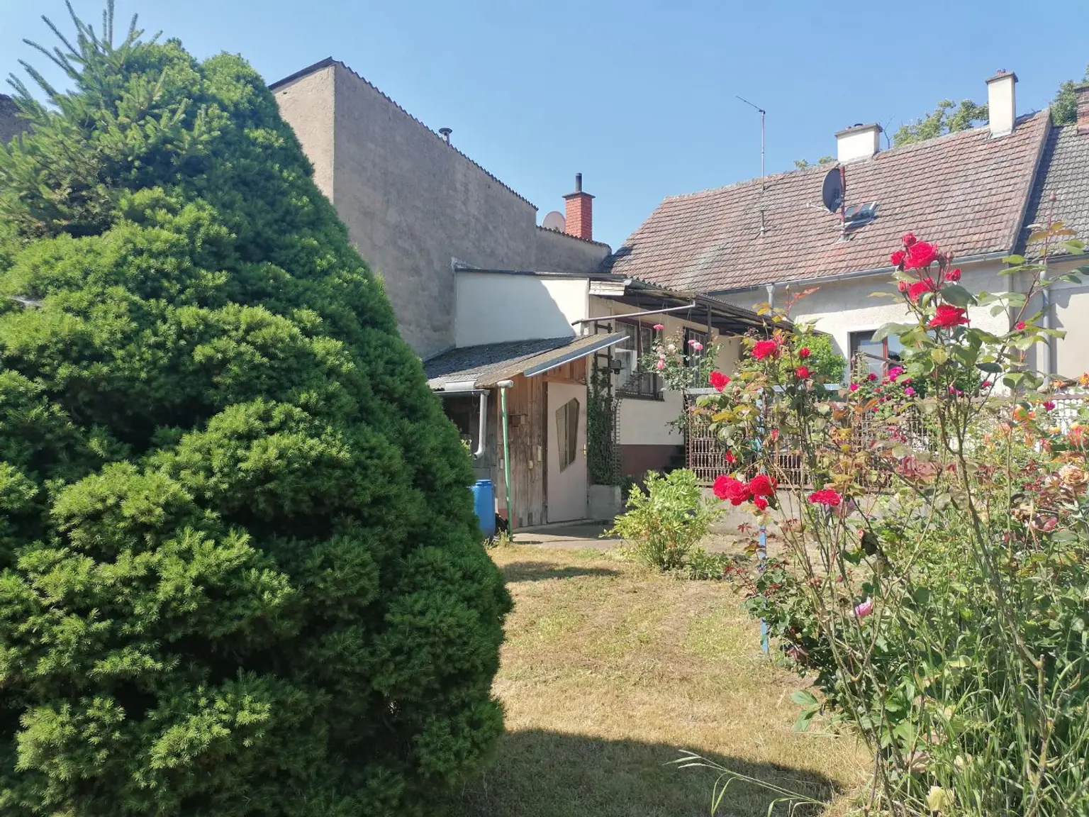 Einfamilienhaus mit kleinem Garten