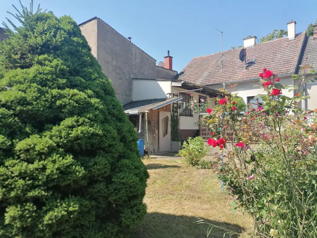 Einfamilienhaus mit kleinem Garten