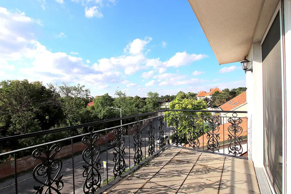 Panoramablick beim Park - großzügige 3-Zimmer Wohnung in Bestlage:  grün, ruhig, hell!