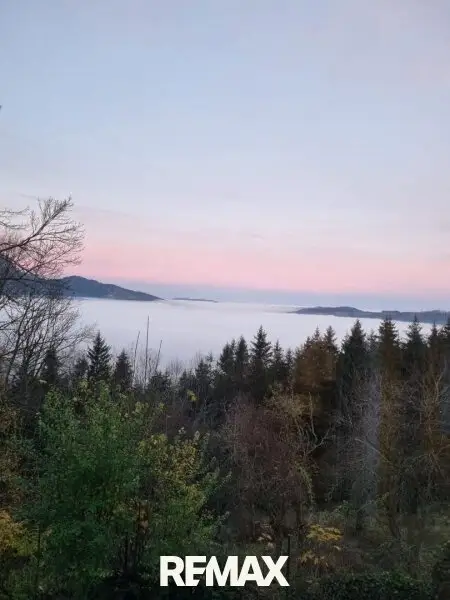 beinahe nie im Nebel