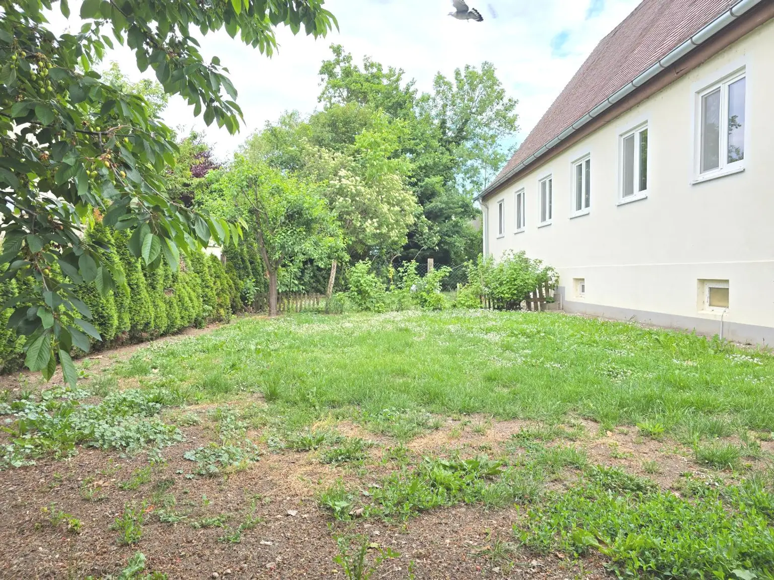 Bruckerstrasse Obj.3338 e