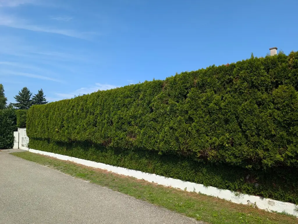 "Gepflegter Bungalow in Ruhelage"