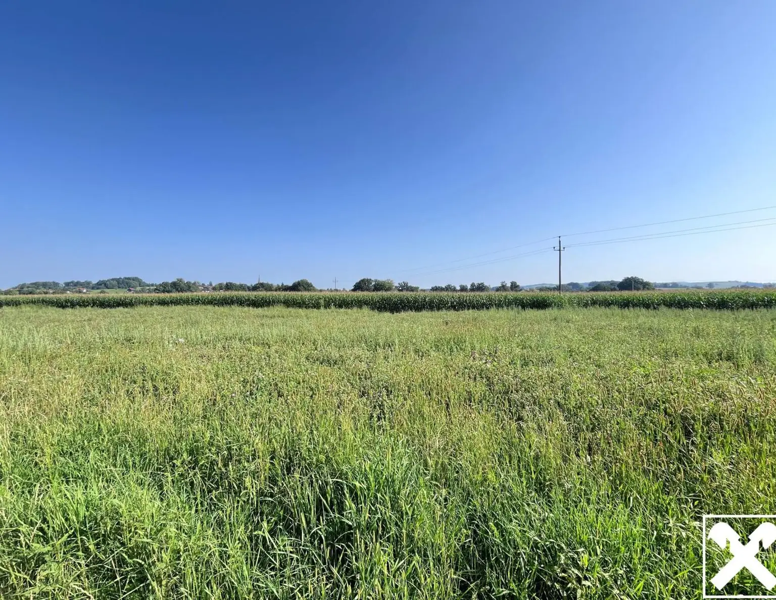 Ebener Baugrund in sonniger Ortsrandlage